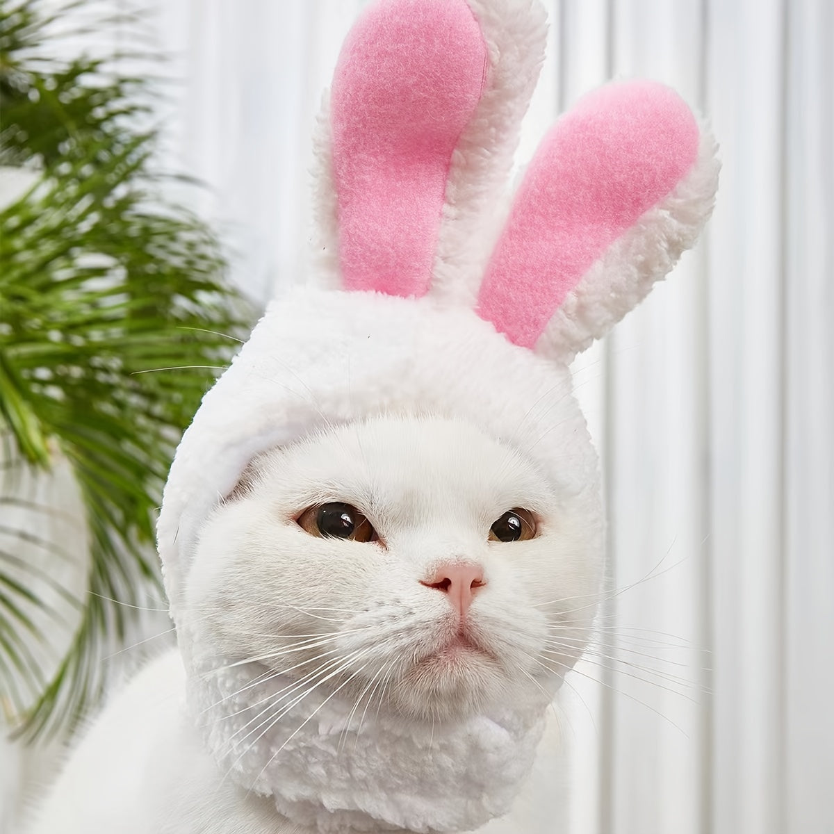 Adorable Rabbit Cat Headgear for Small Dogs & Cats